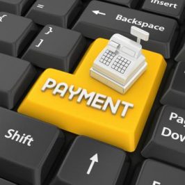 Vers la sécurité des paiements en ligne